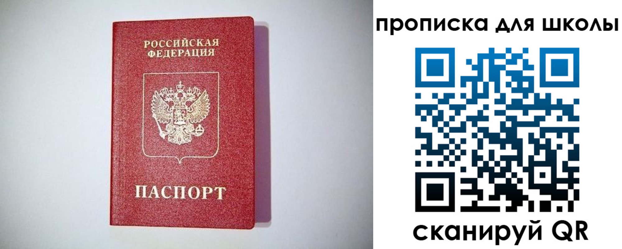 прописка гарантия в Жуковском